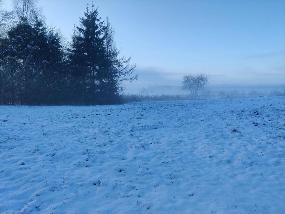 Osada Karszewo, Sauna Bania, Ryby Bagian luar foto