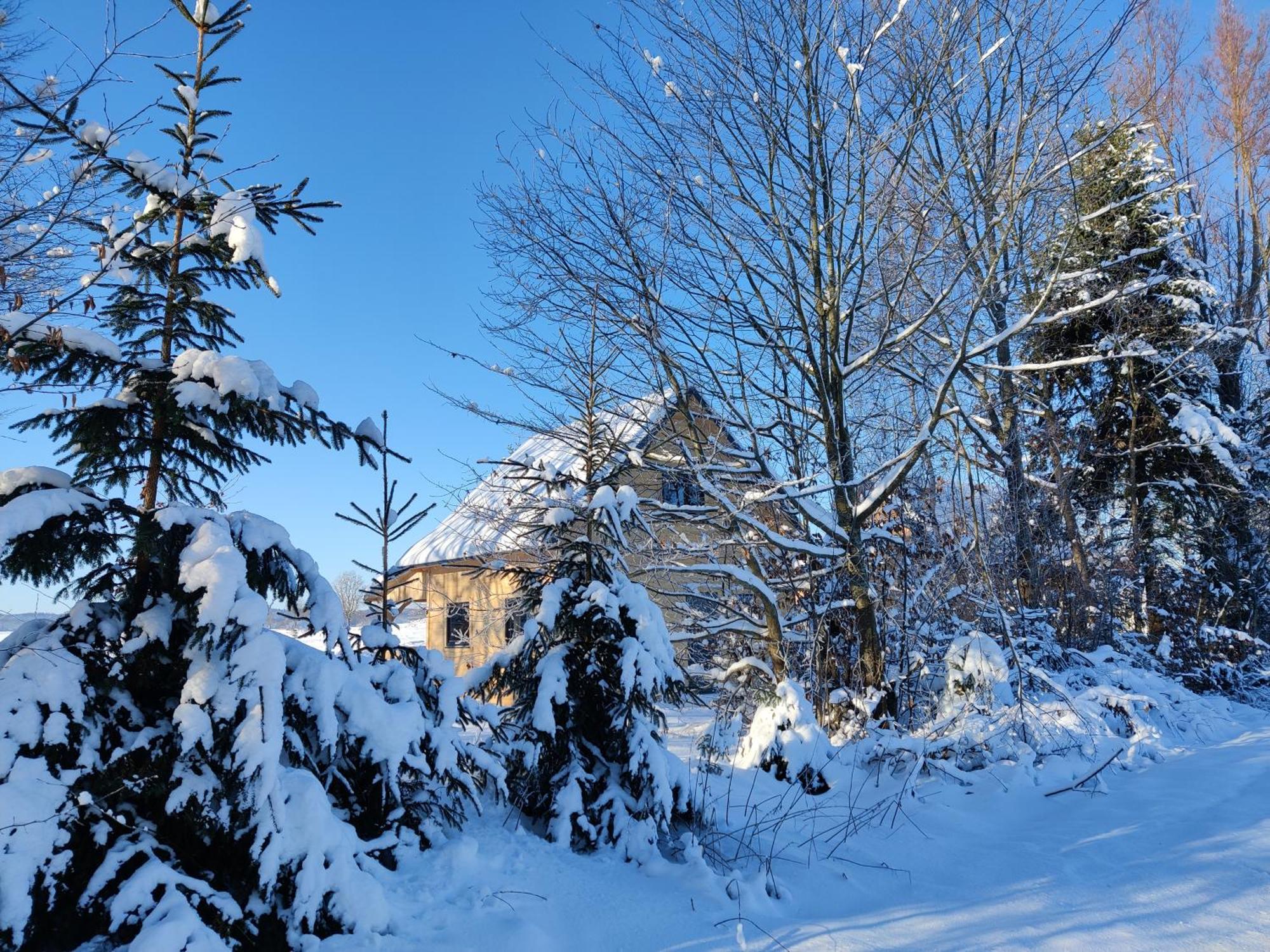 Osada Karszewo, Sauna Bania, Ryby Bagian luar foto