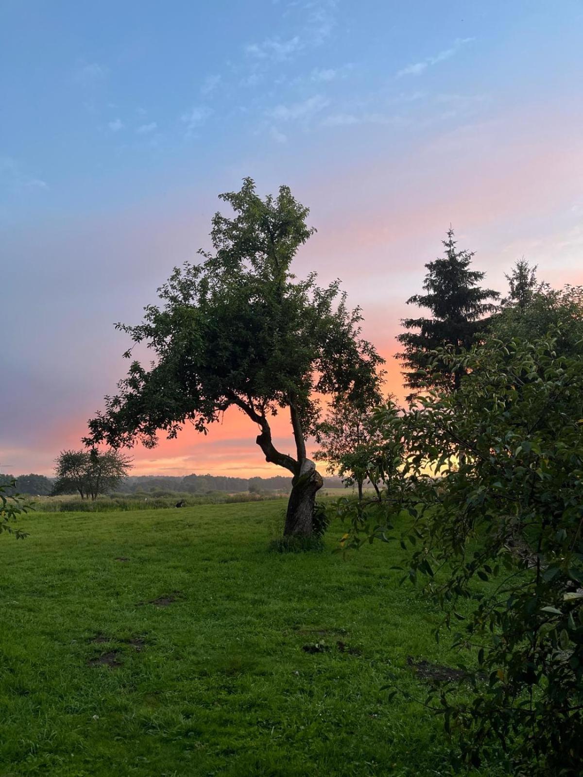 Osada Karszewo, Sauna Bania, Ryby Bagian luar foto
