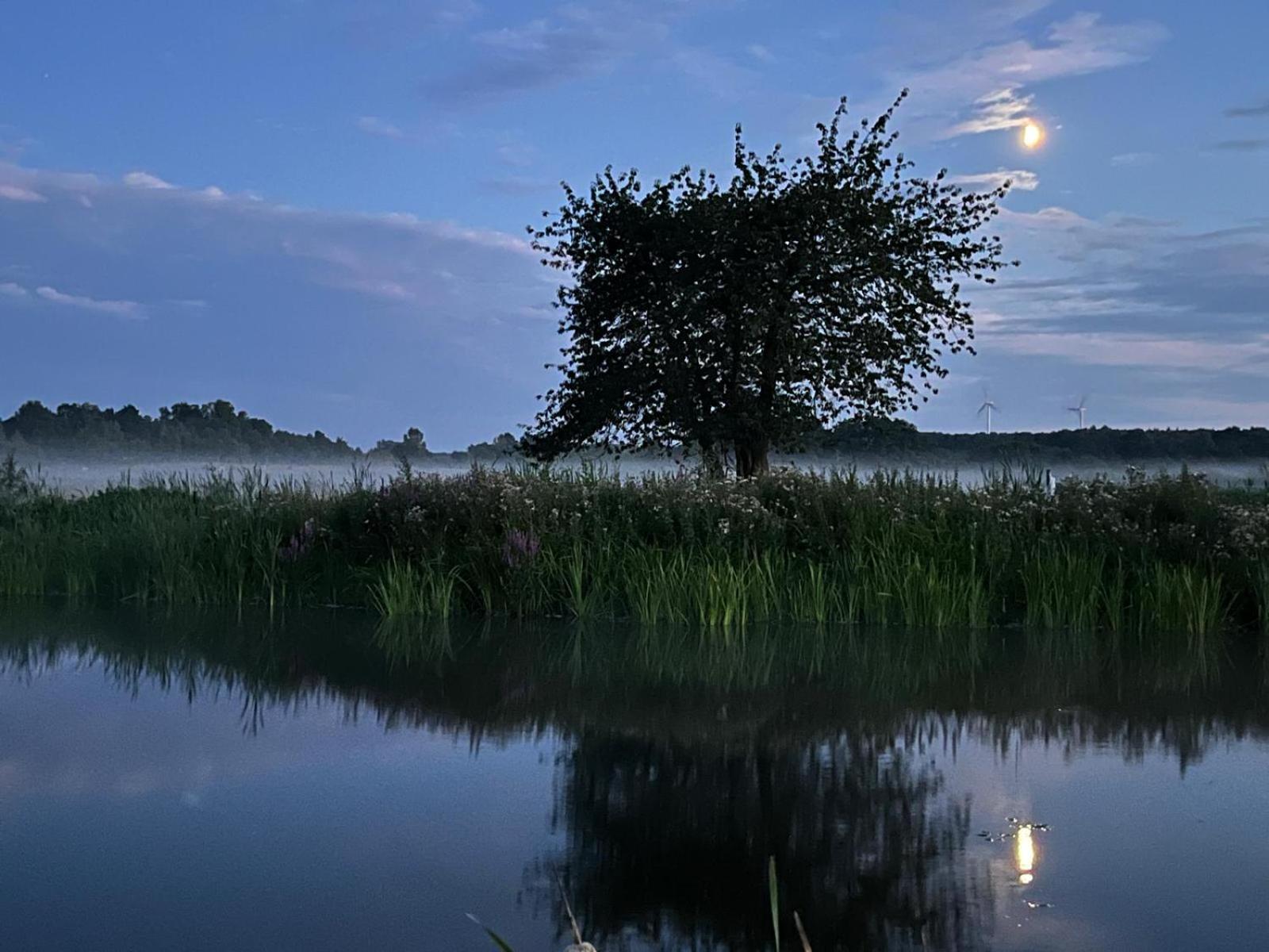 Osada Karszewo, Sauna Bania, Ryby Bagian luar foto