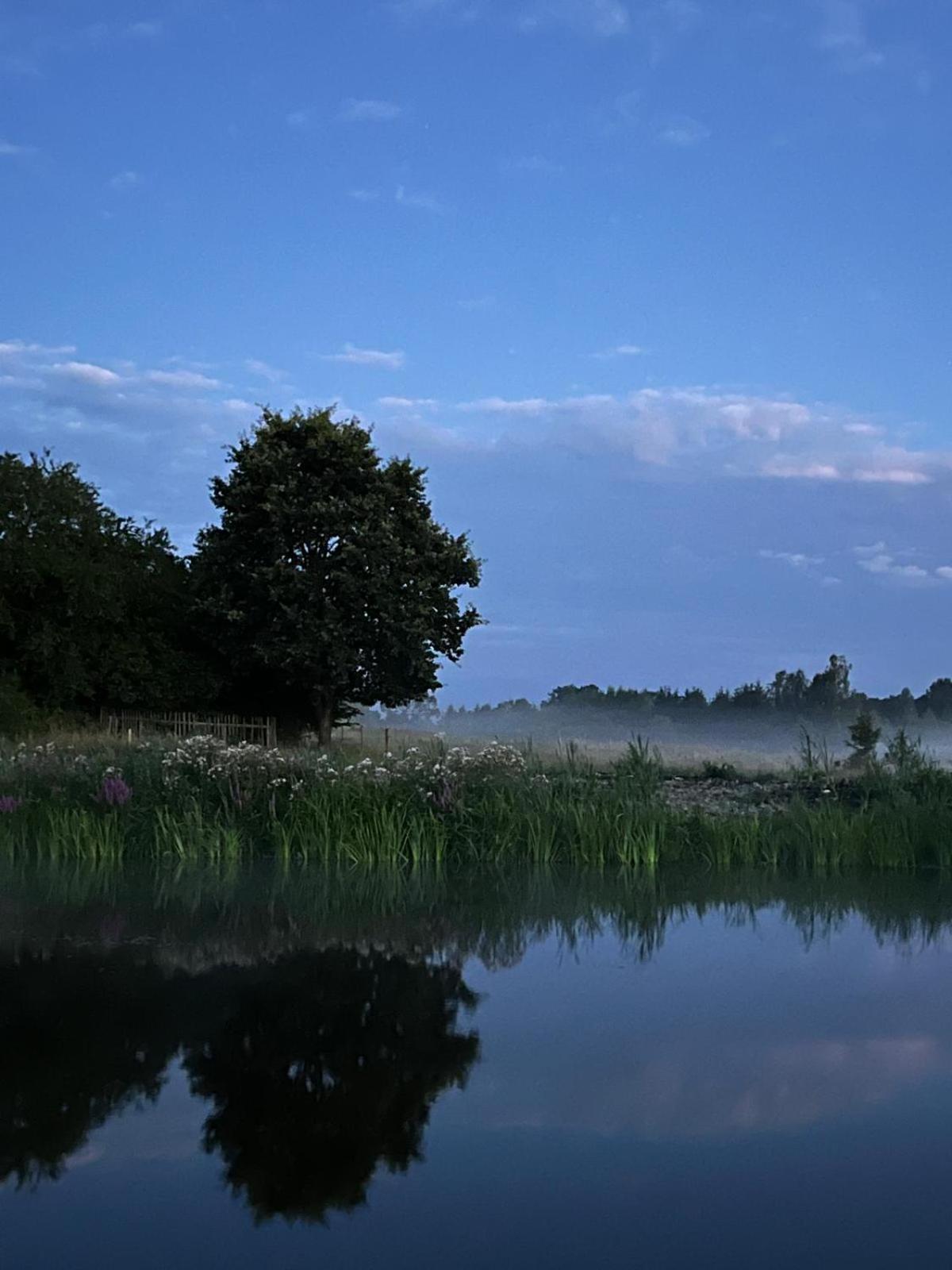 Osada Karszewo, Sauna Bania, Ryby Bagian luar foto