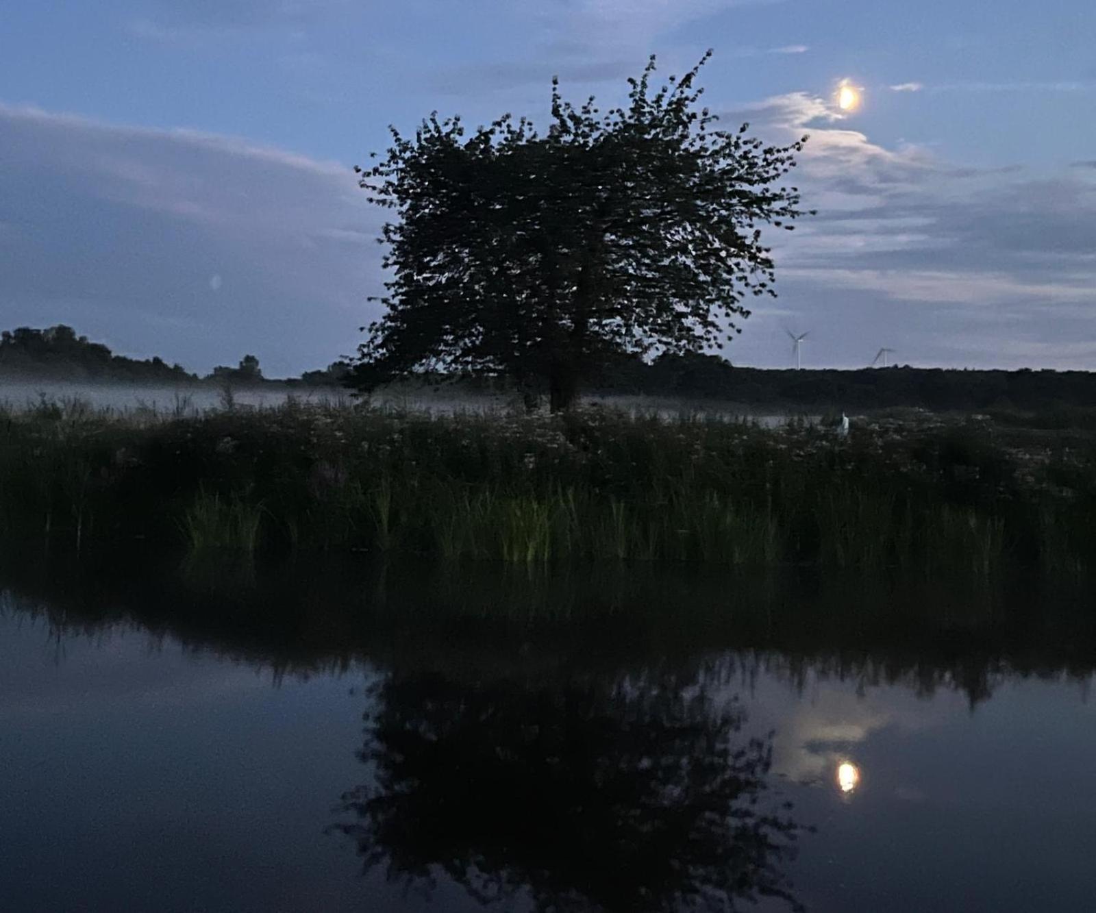 Osada Karszewo, Sauna Bania, Ryby Bagian luar foto